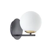 Бра LUMION  6500/1W DEXTER стекло/белое 