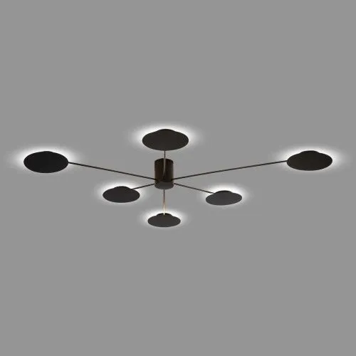 Потолочная светодиодная люстра ST Luce Tondo SL6006.402.06 