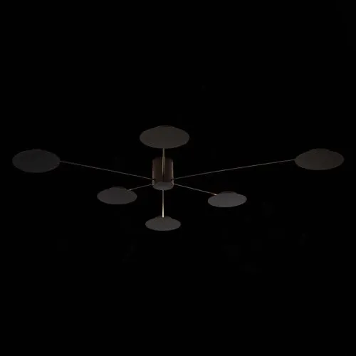 Потолочная светодиодная люстра ST Luce Tondo SL6006.402.06  фото 4